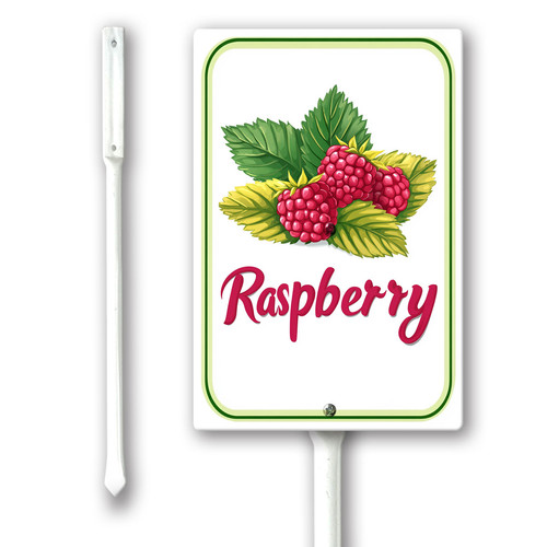 raspberry 001.jpg
