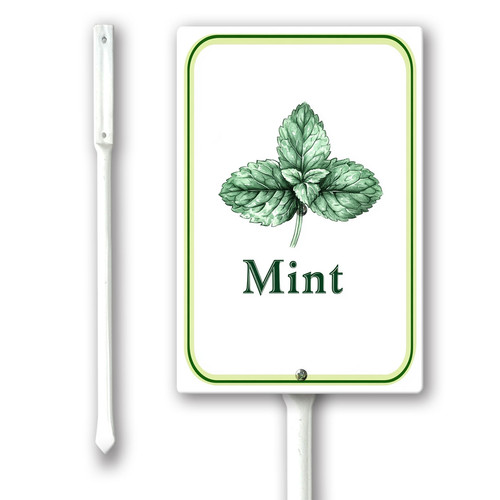 mint 001.jpg