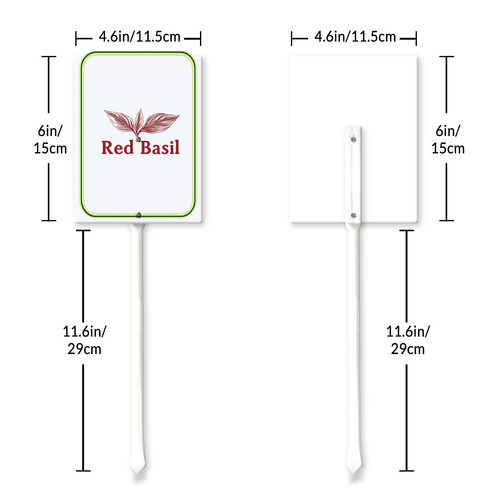 red basil 001 6.jpg