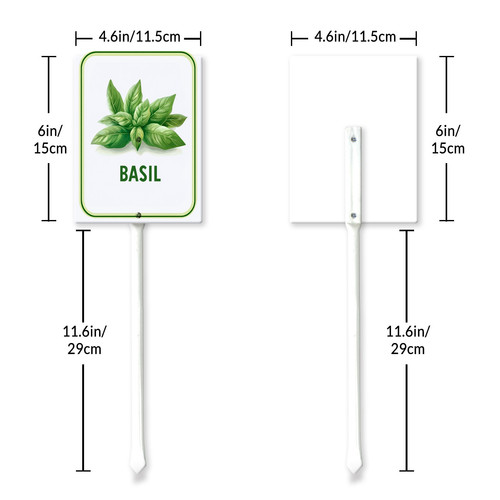 basil 001 6.jpg