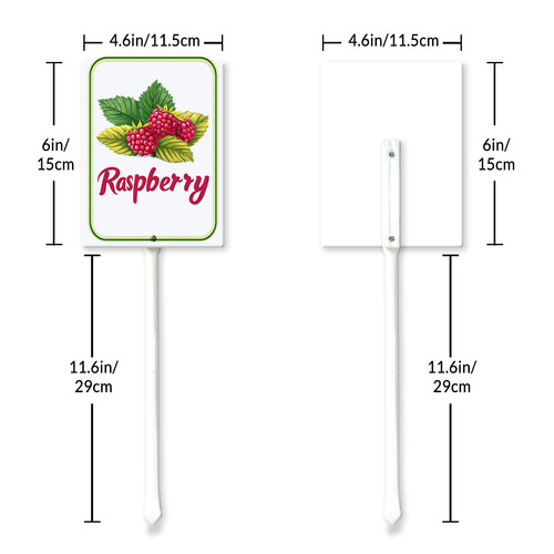 raspberry 001 6.jpg