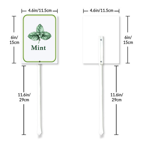 mint 001 6.jpg