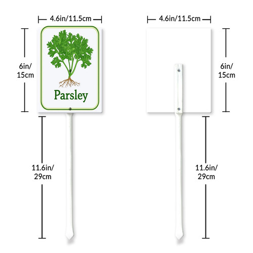 parsley 001 6.jpg