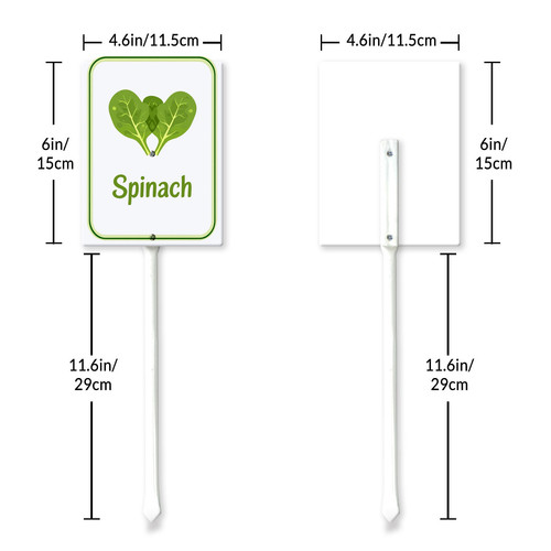 spinach 001 6.jpg