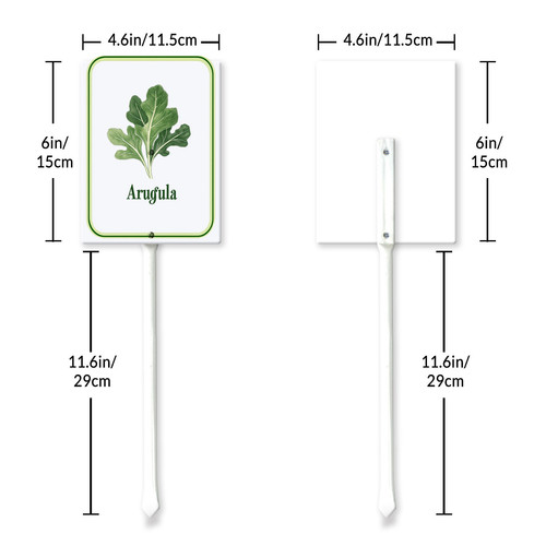 arugula 001 6.jpg