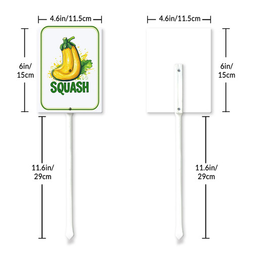 squash 001 6.jpg