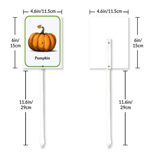pumpkin 001 6.jpg