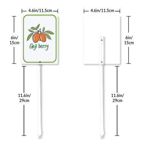 goji berry 6.jpg