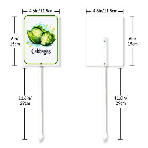 cabbages 001 6.jpg
