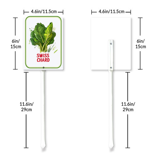 swiss chard 001 6.jpg