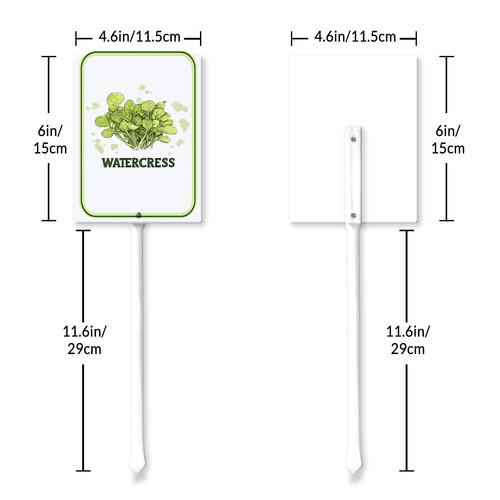 watercress 001 6.jpg
