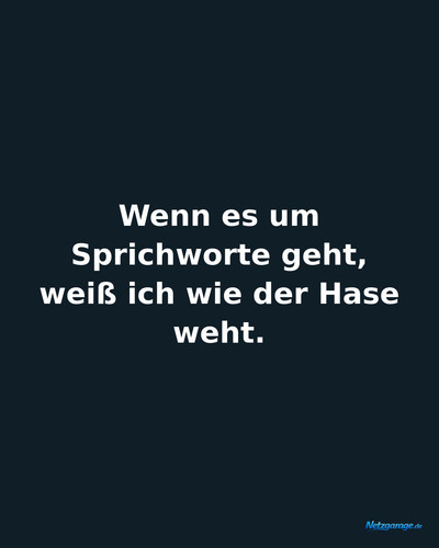 wenn es um sprichworte geht weiss ich wie der hase ig.jpg