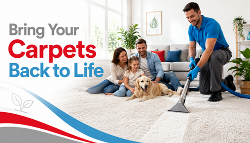 Choose Carpet Cleaning Bulimba for Professional Carpet Care.png