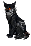 IMG 3545.png
