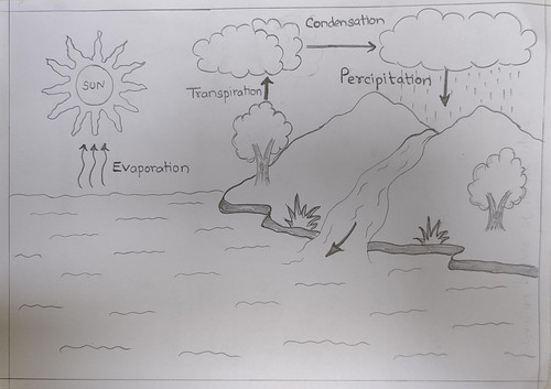 Water cycle.jpg