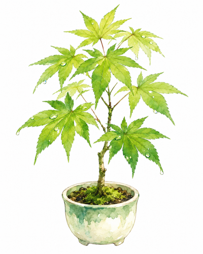 7. みどりの日（みどりのひ）— Hari Penghijauan.png