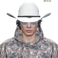 299ed5c7c540.png