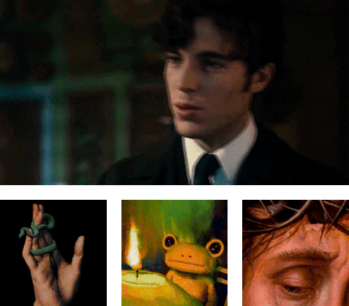 newmarvolo.gif