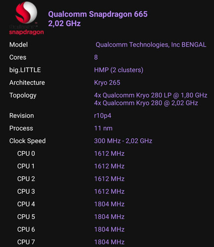 63706.jpg