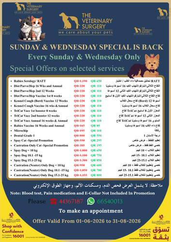 Promotion Flyer.png