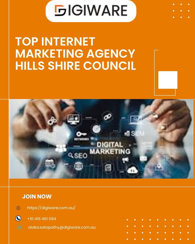 Top Internet Marketing Agency Hills Shire Council.jpg