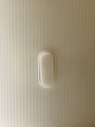 p8 img1.jpg