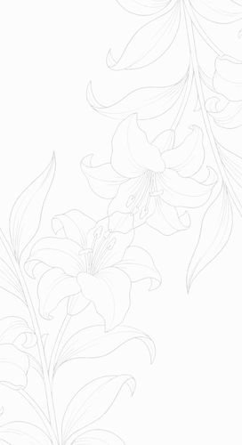 1782823584819.png