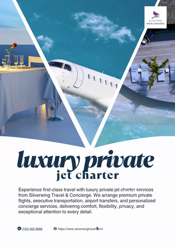 luxury private jet charter (1).jpg