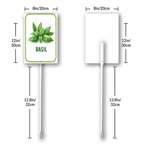 basil 001 8.jpg