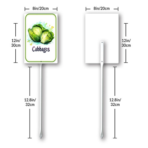 cabbages 001 8.jpg