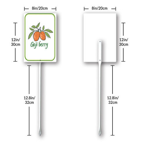 goji berry 8.jpg