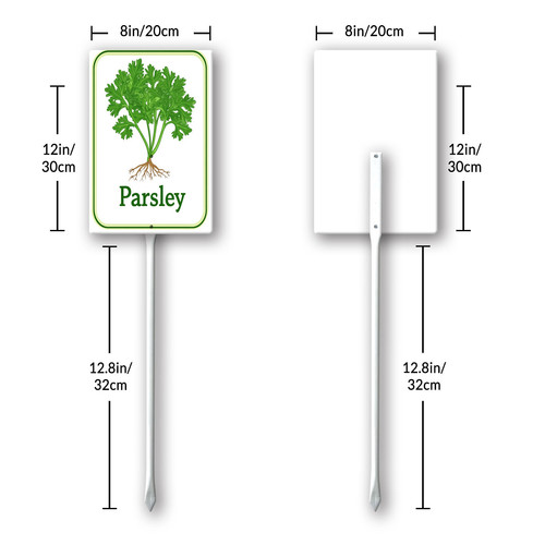 parsley 001 8.jpg