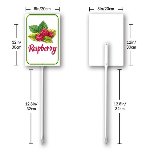raspberry 001 8.jpg