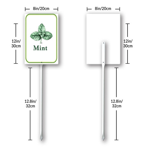 mint 001 8.jpg