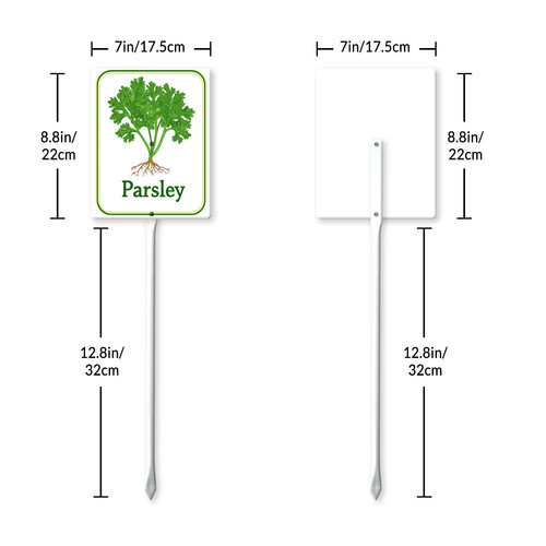 parsley 001 7.jpg