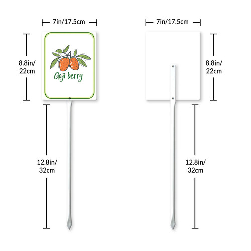 goji berry 7.jpg