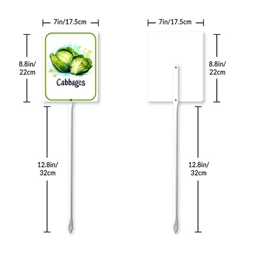 cabbages 001 7.jpg