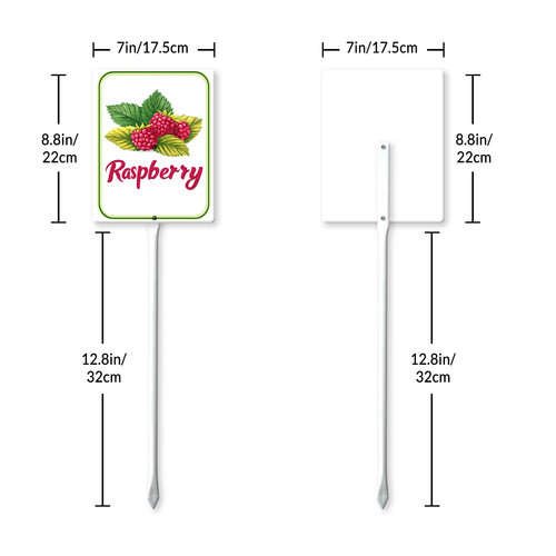 raspberry 001 7.jpg