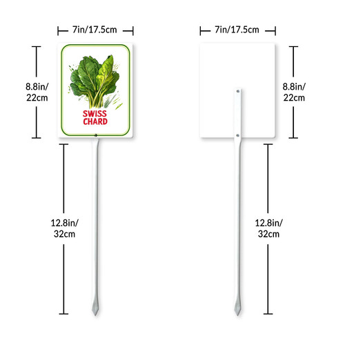 swiss chard 001 7.jpg
