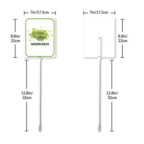 watercress 001 7.jpg