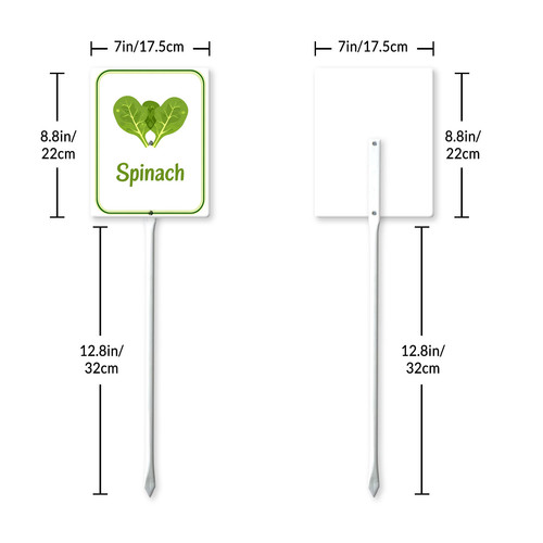 spinach 001 7.jpg