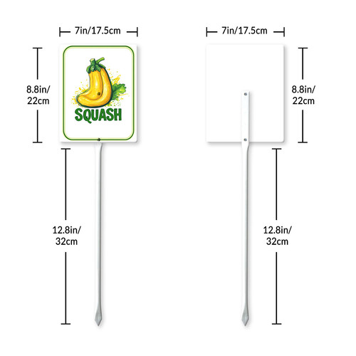 squash 001 7.jpg