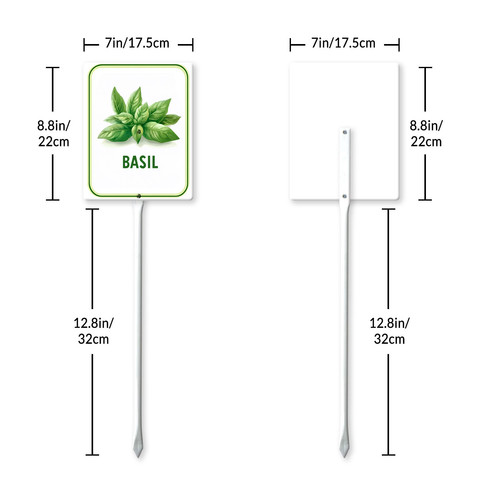 basil 001 7.jpg