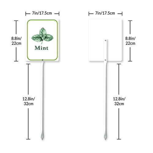 mint 001 7.jpg