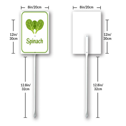spinach 001 8.jpg