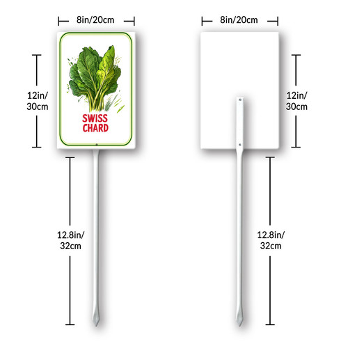 swiss chard 001 8.jpg