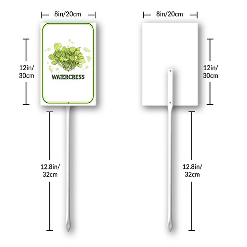 watercress 001 8.jpg