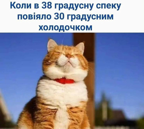 file 340.jpg