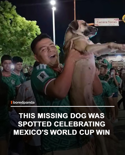 img facts.jpg