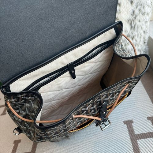 alpin mm convertible backpack 3.jpg